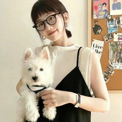 风流总统